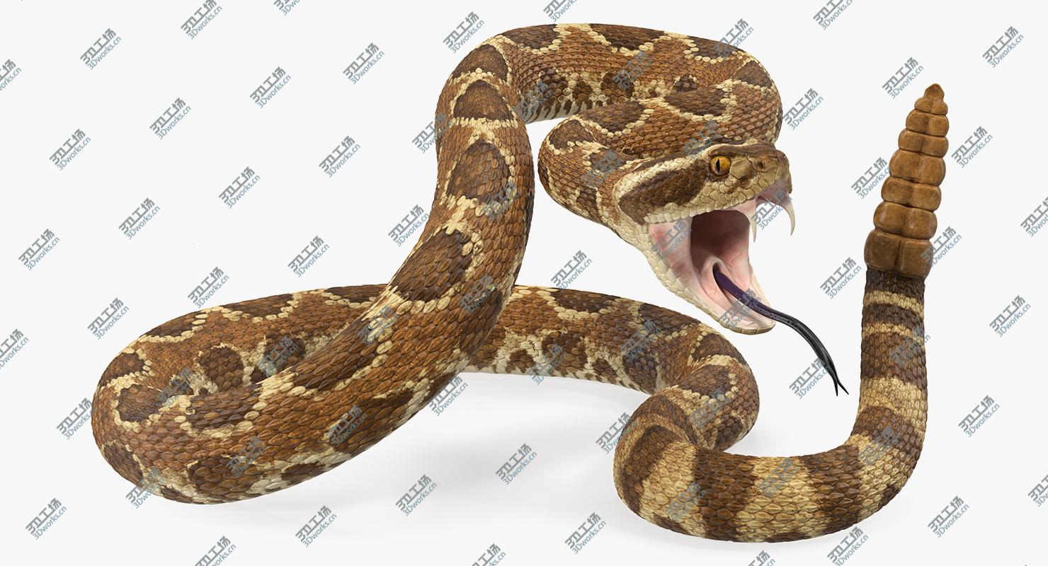 images/goods_img/202104093/Light Rattlesnake Attack Pose 3D/2.jpg